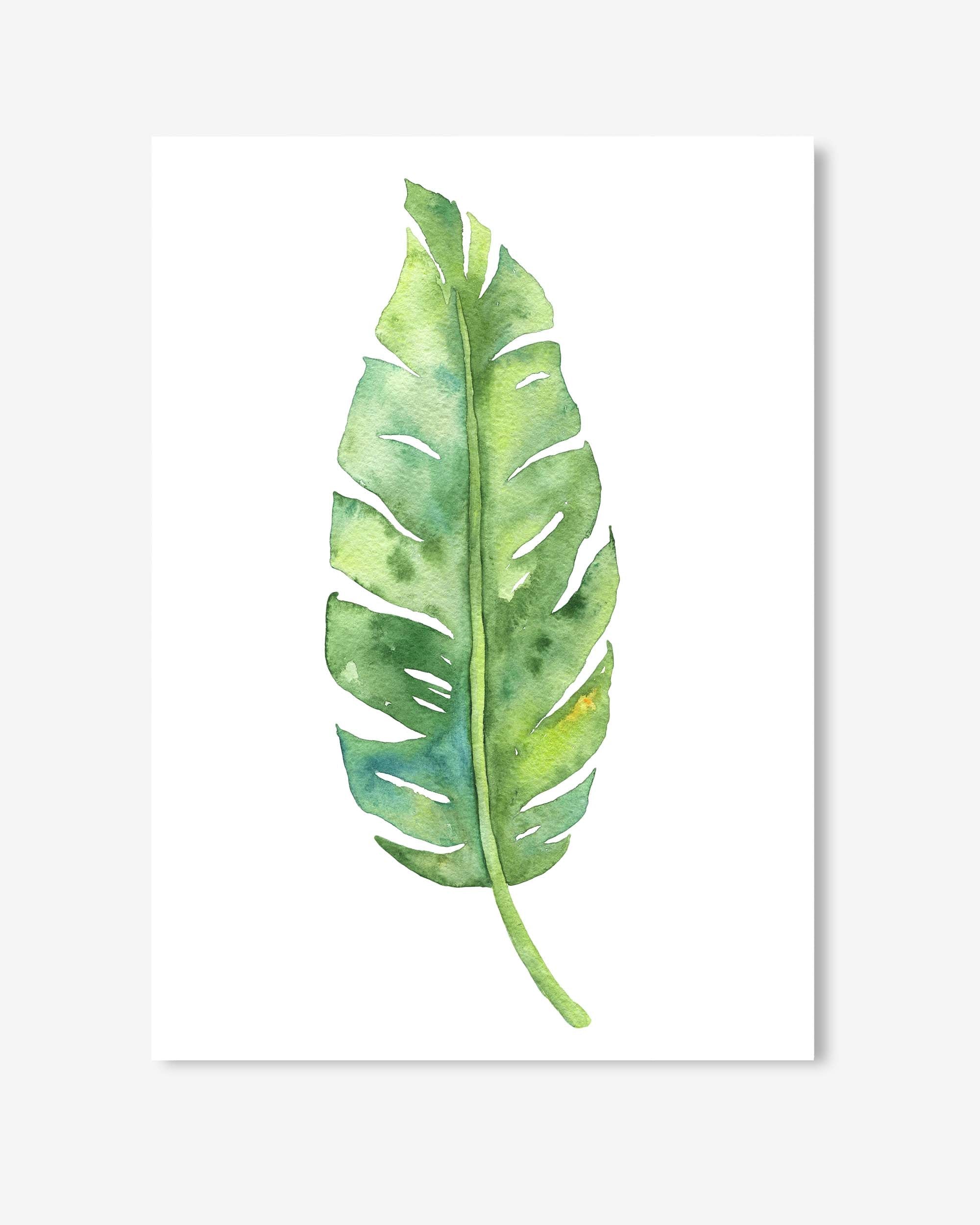 Botanical Watercolour Leaf Art Print