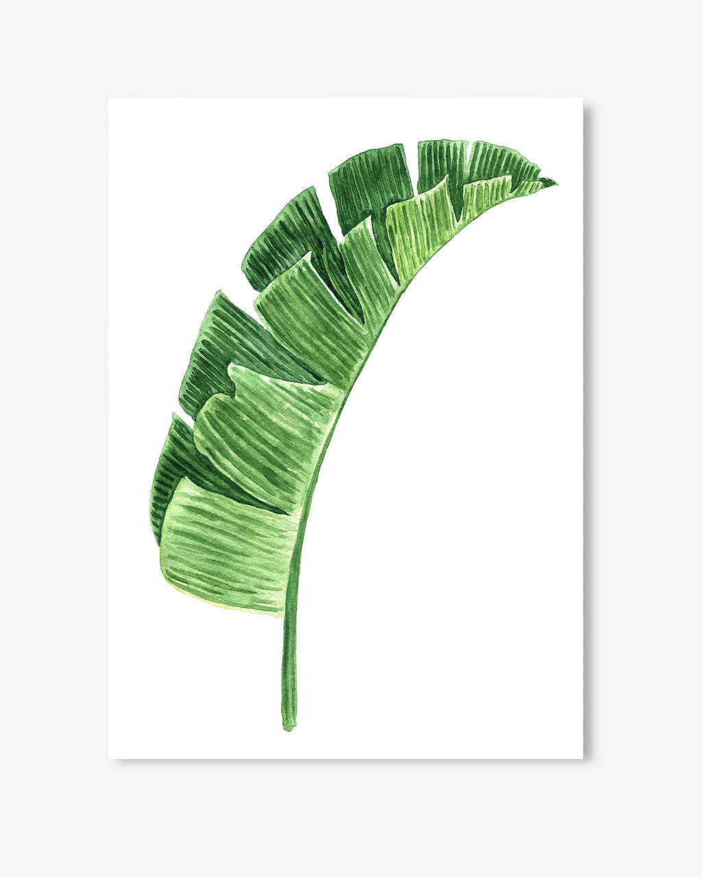 Textured Green Watercolour Leaf Art Print