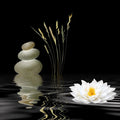 Spiritual soul