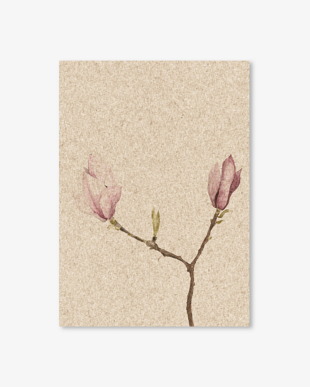Vintage Rose Art Print