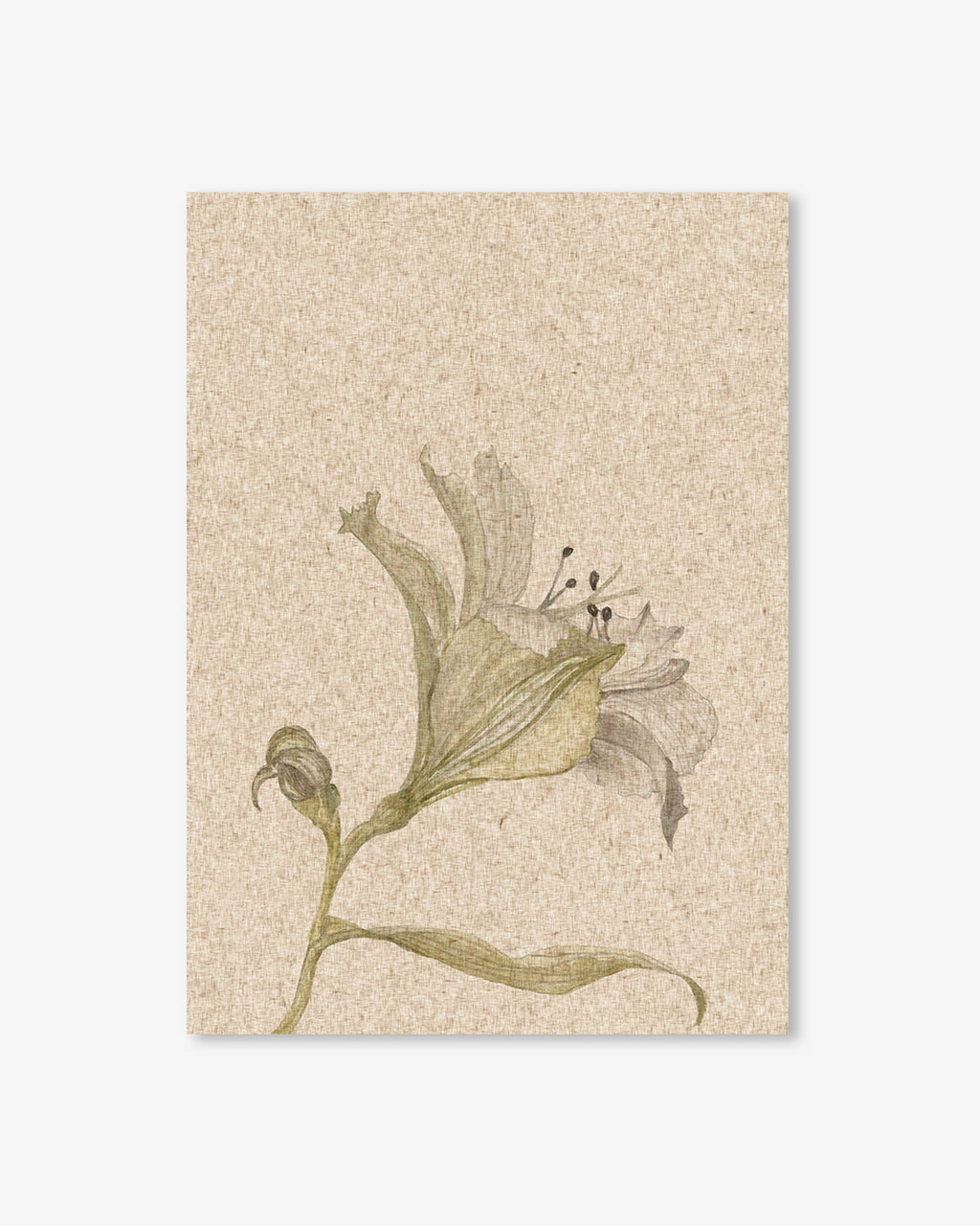 Vintage Floral Stem Art Print