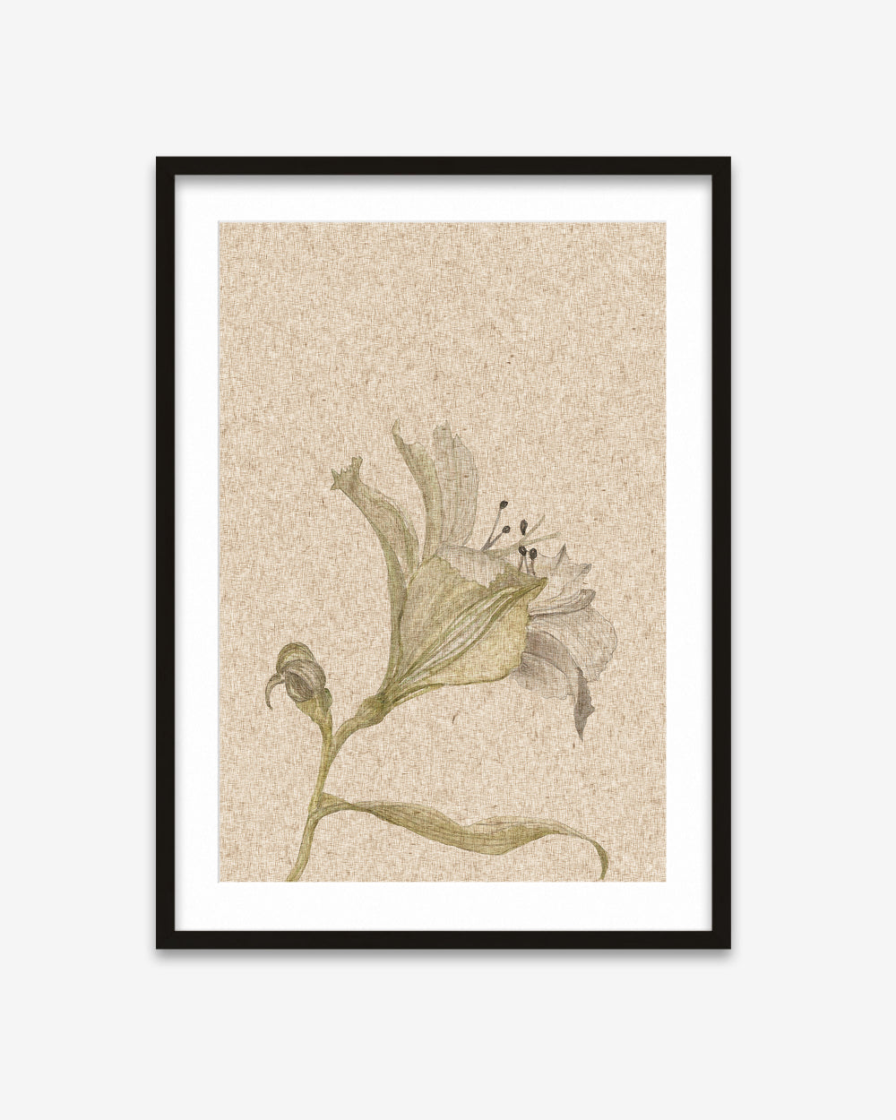 Vintage Floral Stem Art Print