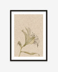 Vintage Floral Stem Art Print