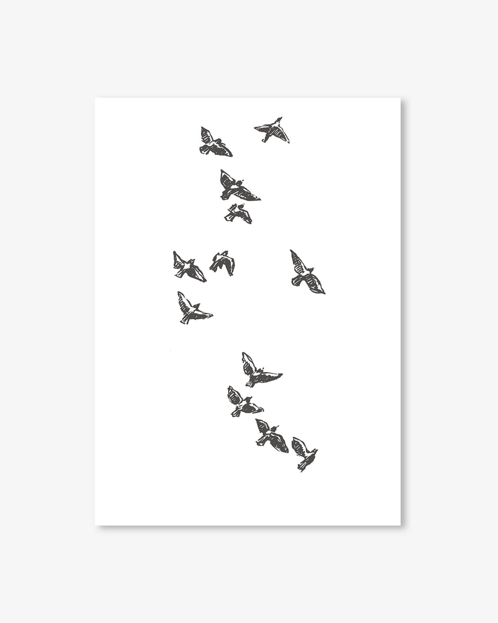 Watercolour Birds 3 Art Print