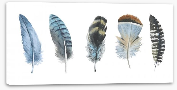 Feather me panorama