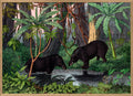 American Tapir