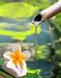 Serenity