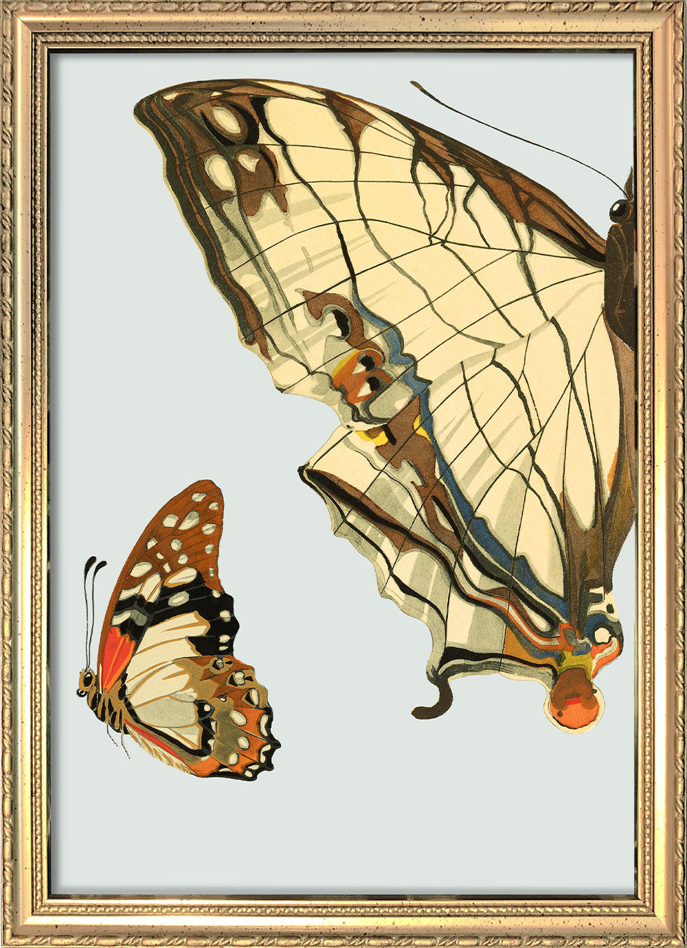 Beige and Brown Butterfly Left. Mini Print