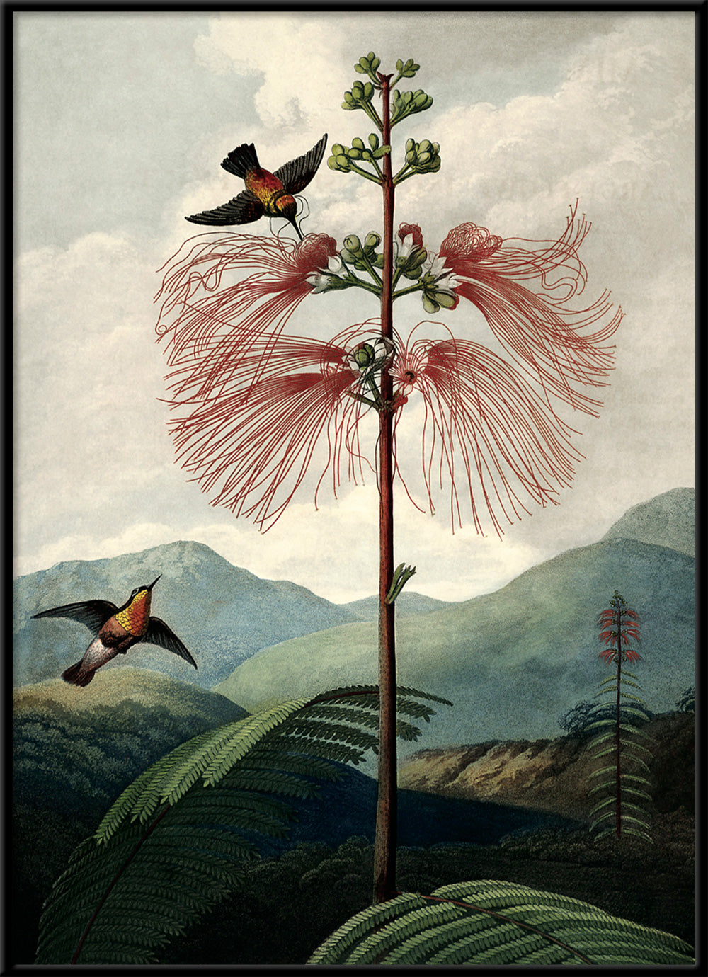 The Tree of Flowers