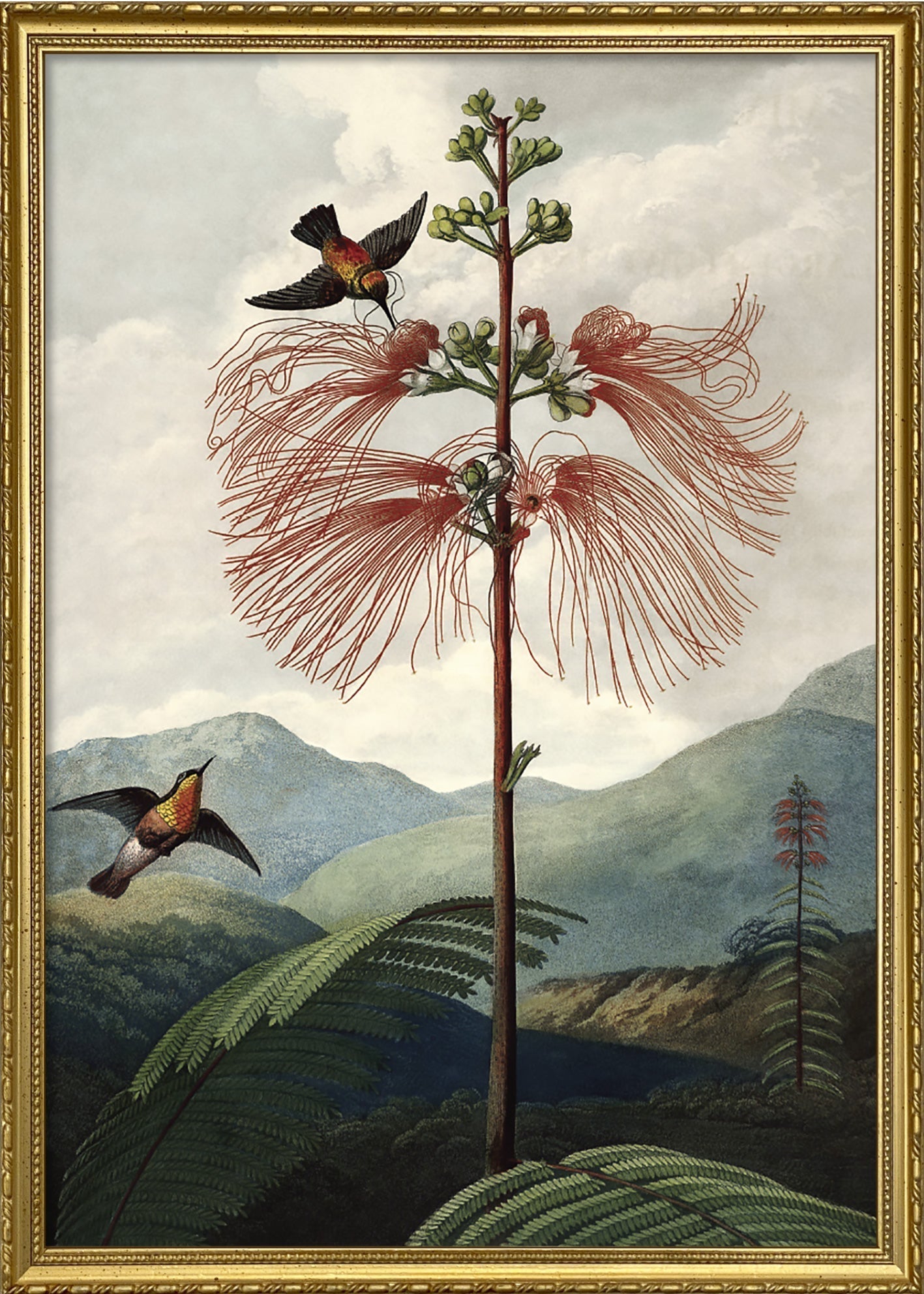 The Tree of Flowers