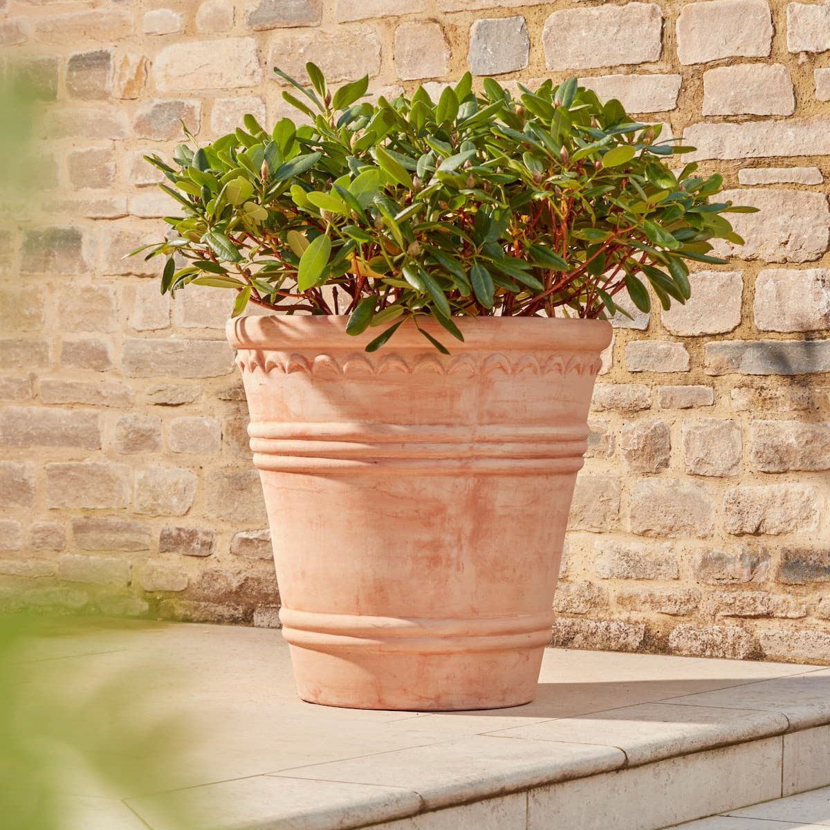 Amara Large | Terracotta Plant Pot