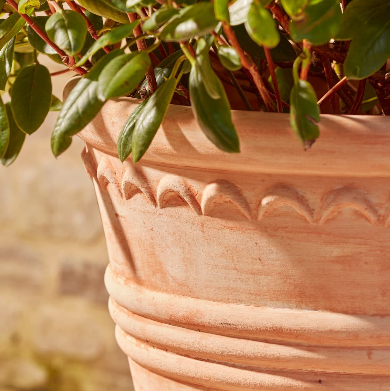 Amara Large | Terracotta Plant Pot