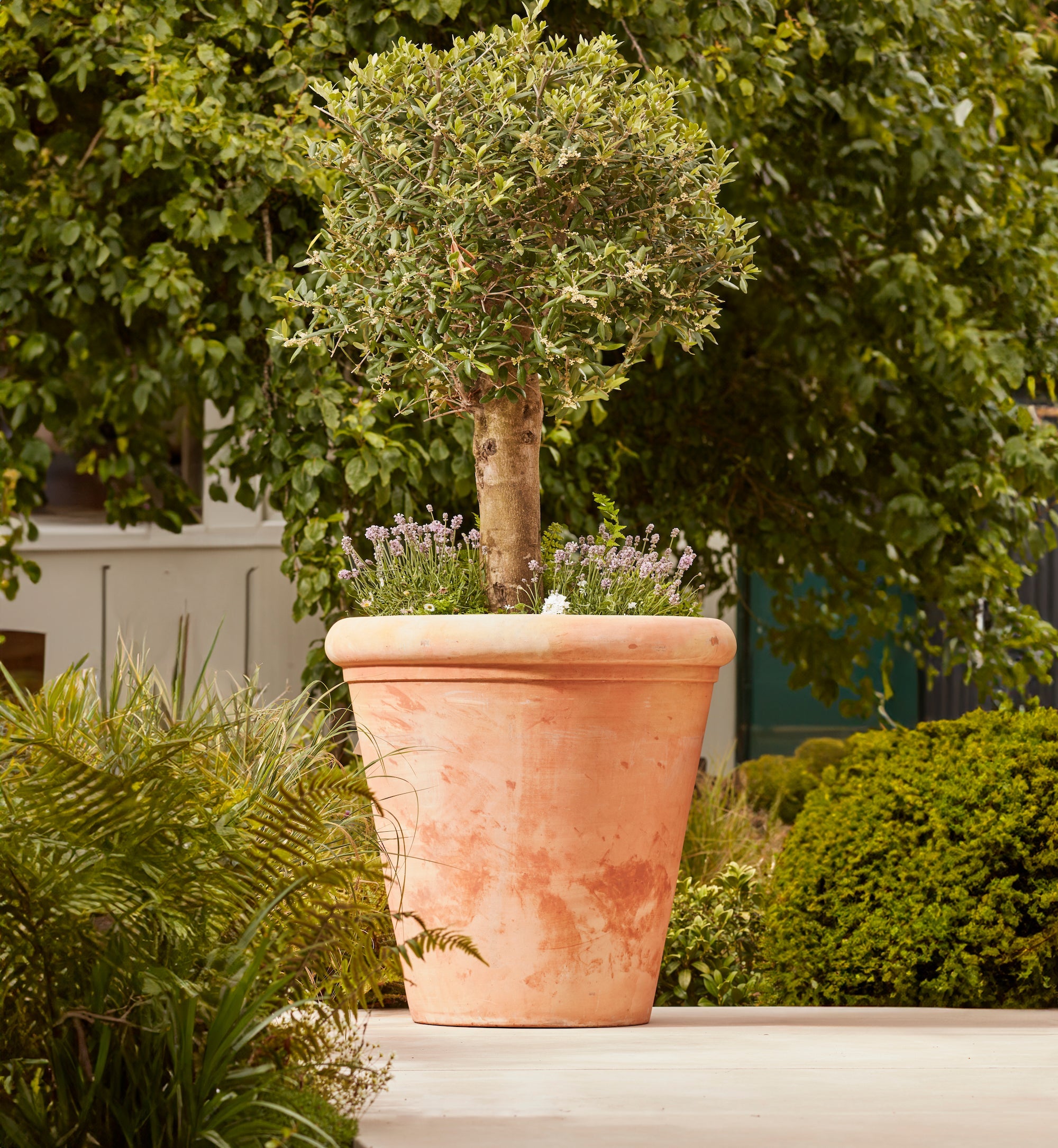 Clayton Large | Terracotta Plant Pot