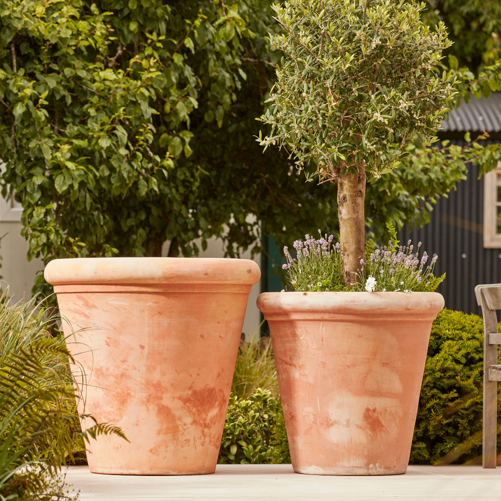 Clayton Large | Terracotta Plant Pot