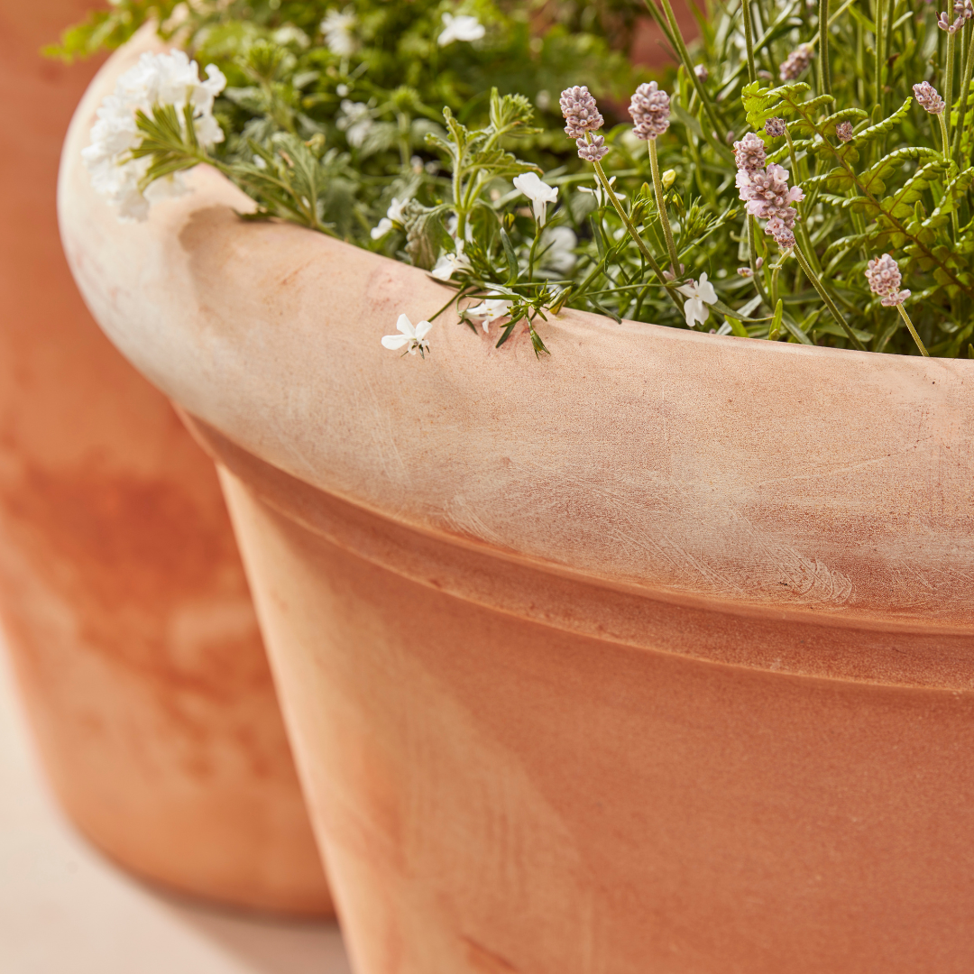 Clayton Large | Terracotta Plant Pot