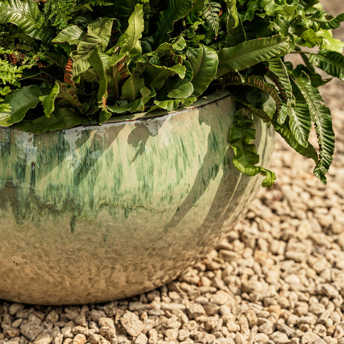 Estee Large | Glazed Bowl Planter