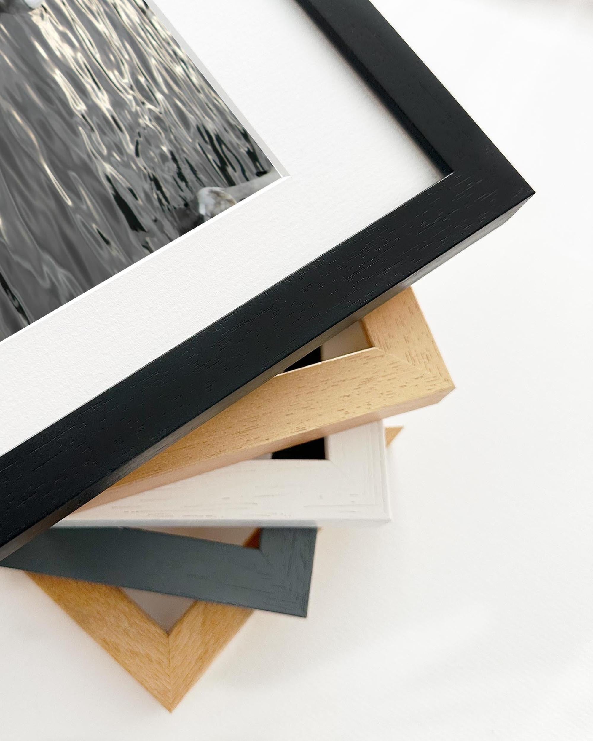 The Swan Lake Art Print