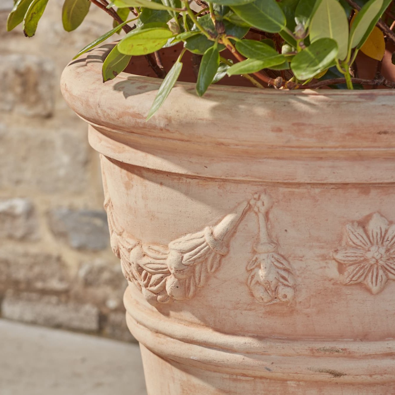 Lena Large | Terracotta Plant Pot