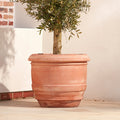 Lucca Large | Italian Terracotta Plant Pot