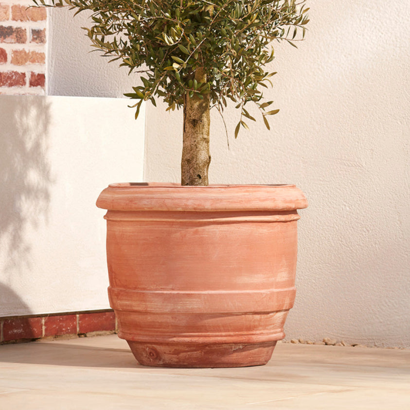 Lucca Large | Italian Terracotta Plant Pot
