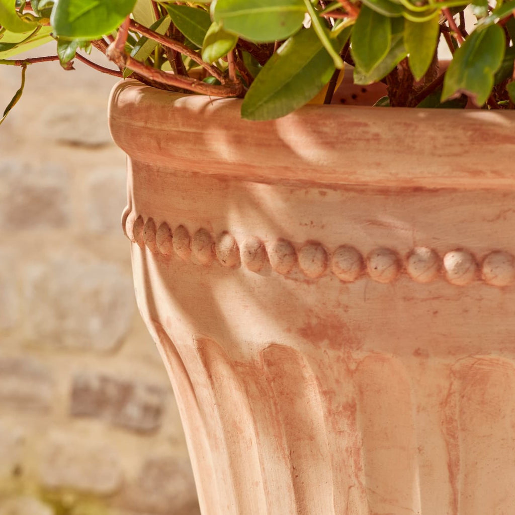Lucie Large | Terracotta Plant Pot