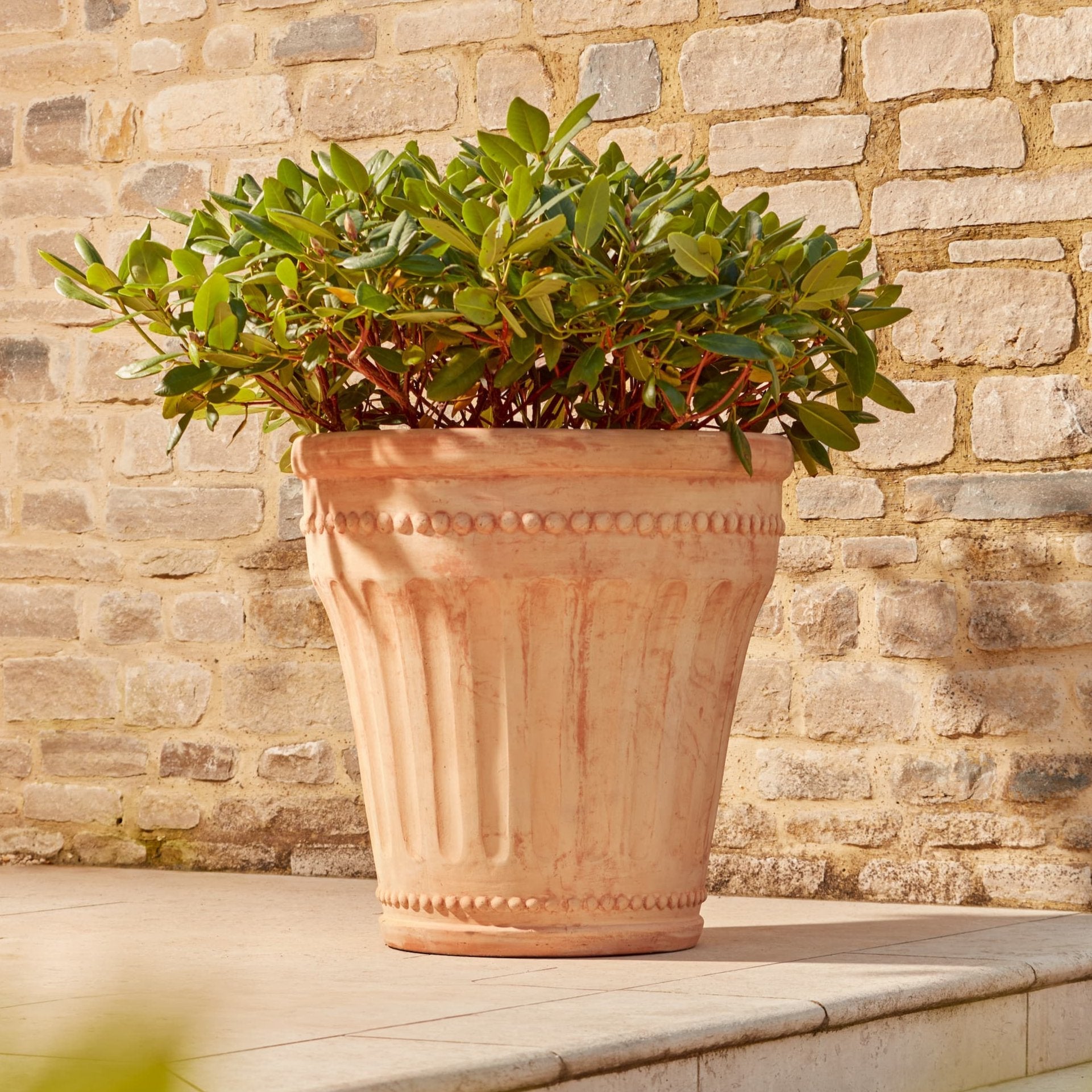 Lucie Large | Terracotta Plant Pot