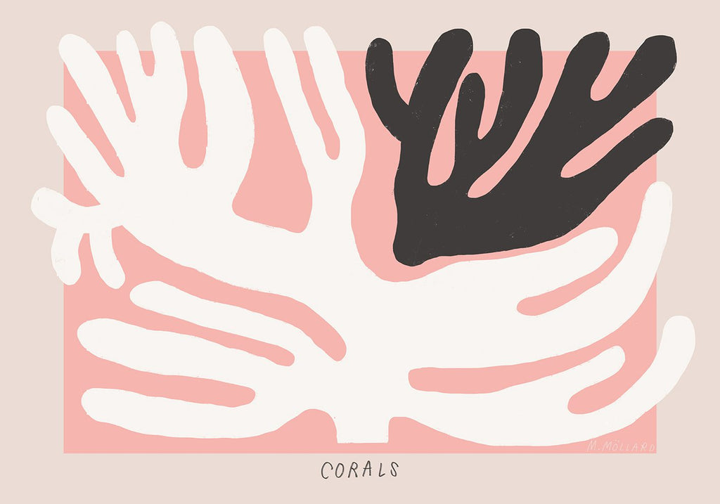 Black and White Corals