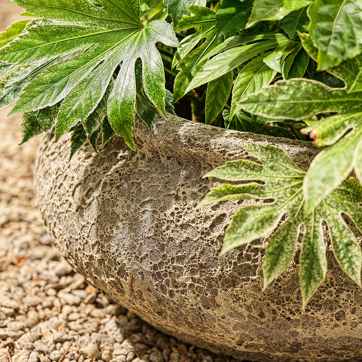 Monet Large Ancient | Bowl Planter