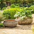 Monet Large Ancient | Bowl Planter