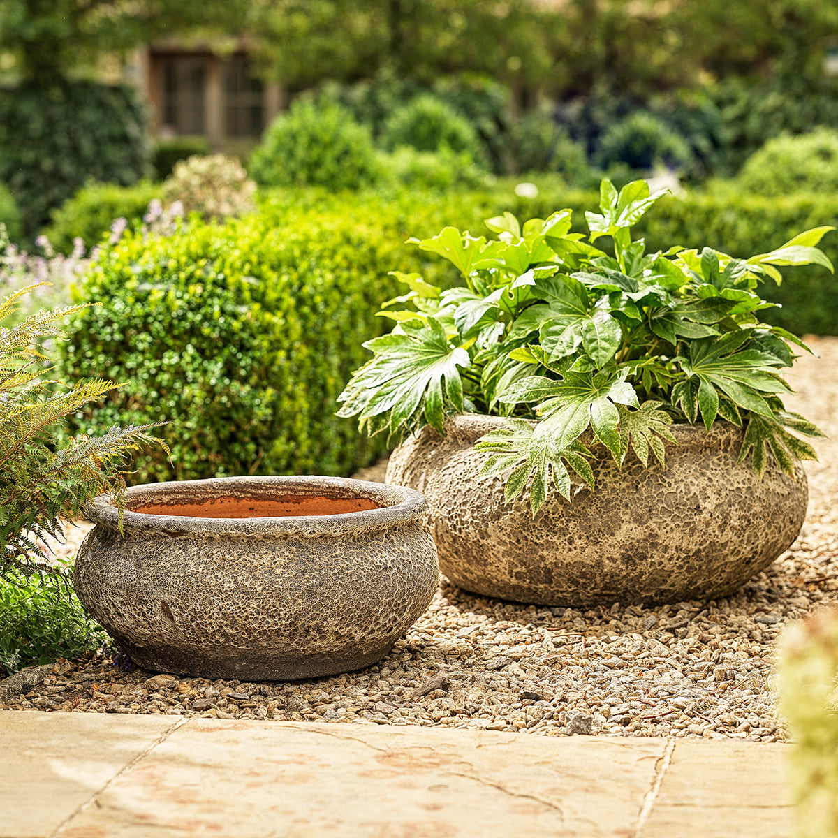 Monet Large Ancient | Bowl Planter