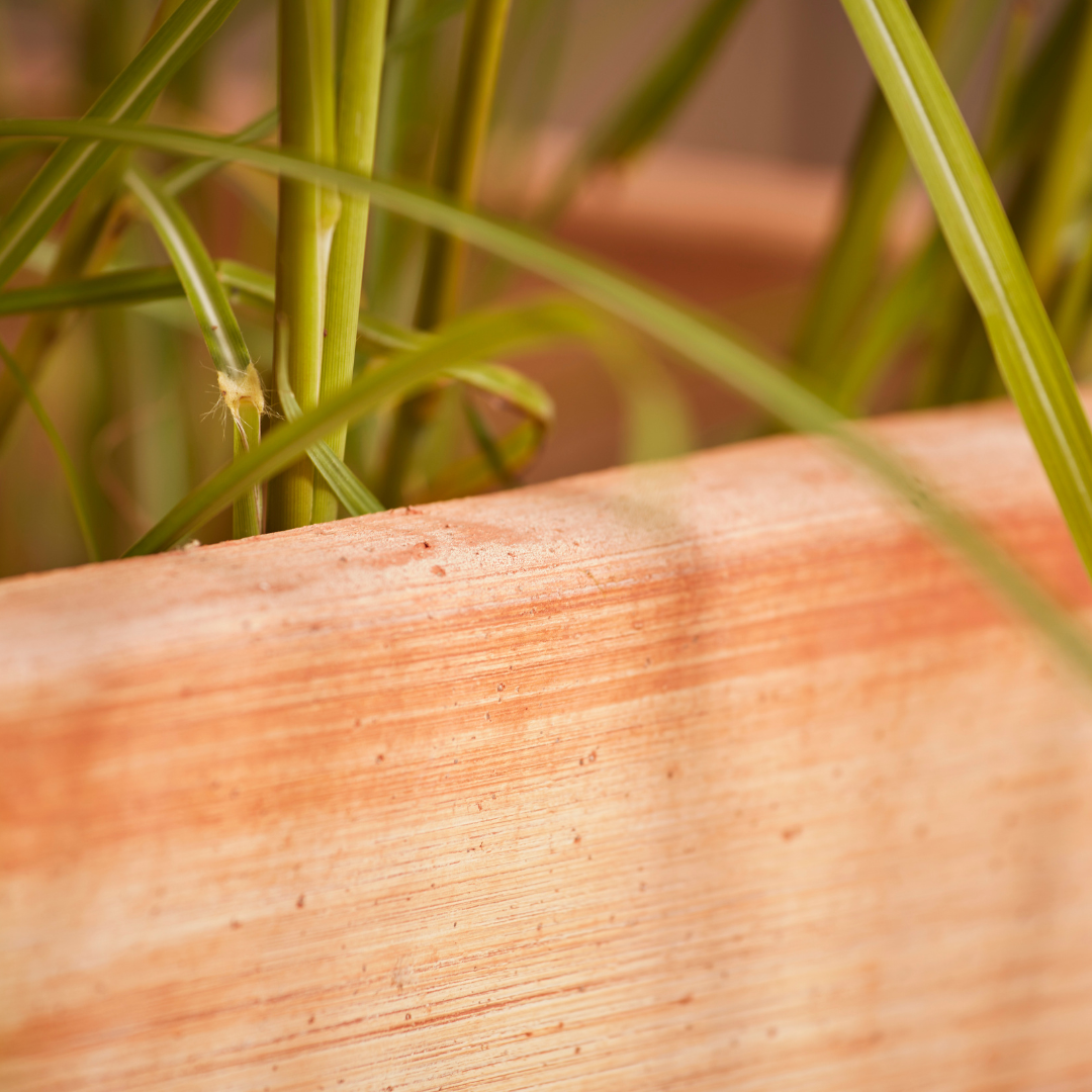 Sardinia Tall | Italian Terracotta Plant Pot