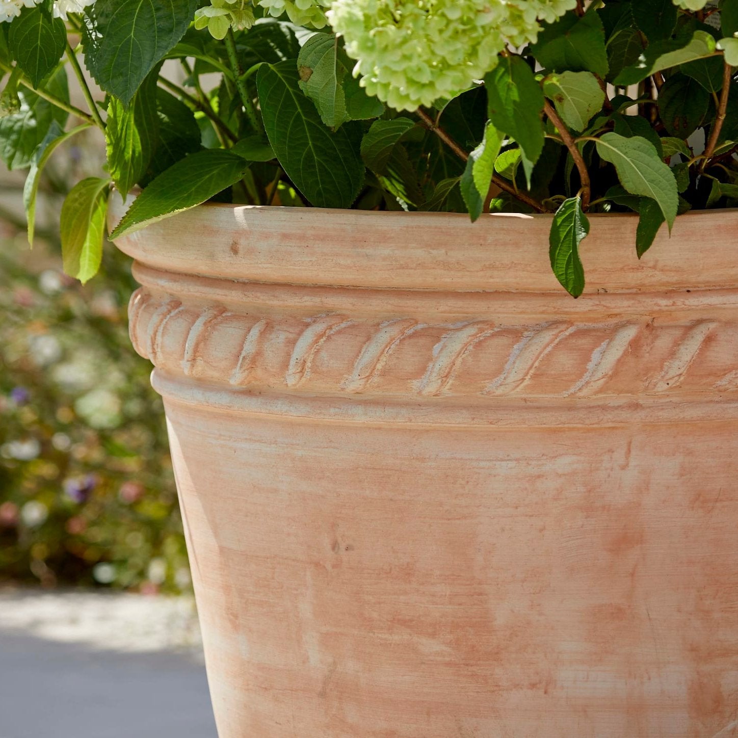 Sienna Large | Terracotta Plant Pot