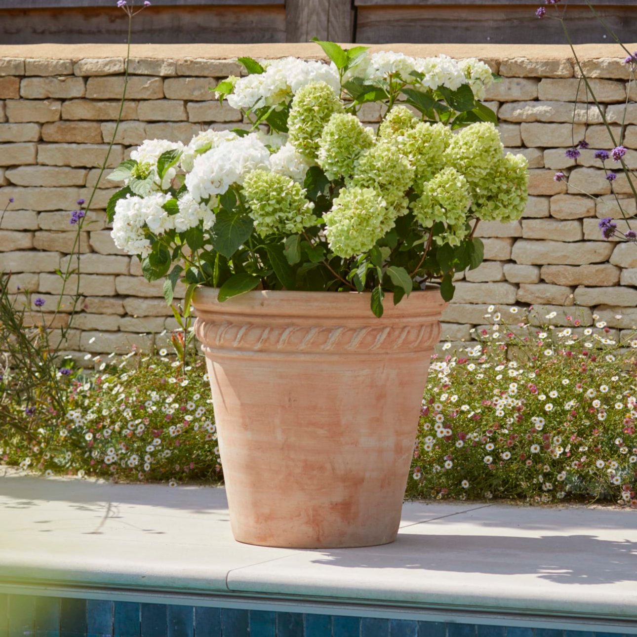 Sienna Large | Terracotta Plant Pot