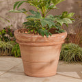 Venice Large | Italian Terracotta Plant Pot