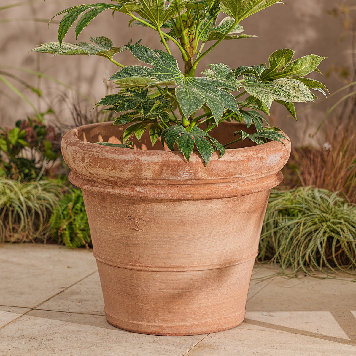 Venice Large | Italian Terracotta Plant Pot