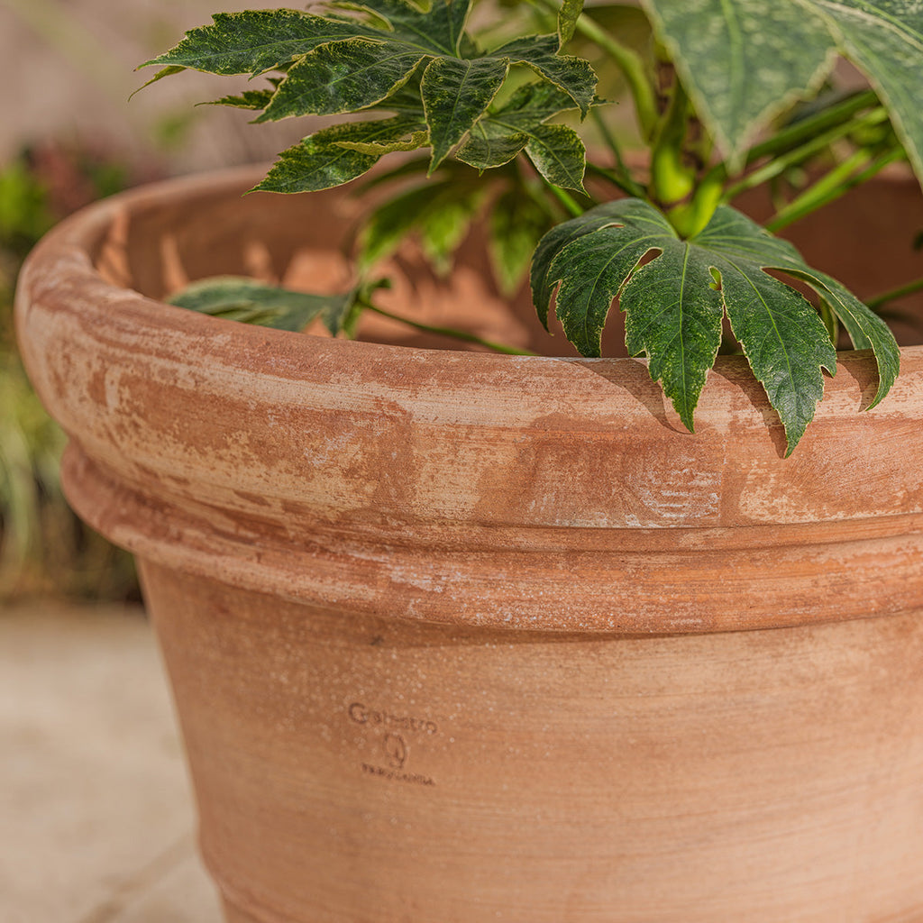 Venice Large | Italian Terracotta Plant Pot