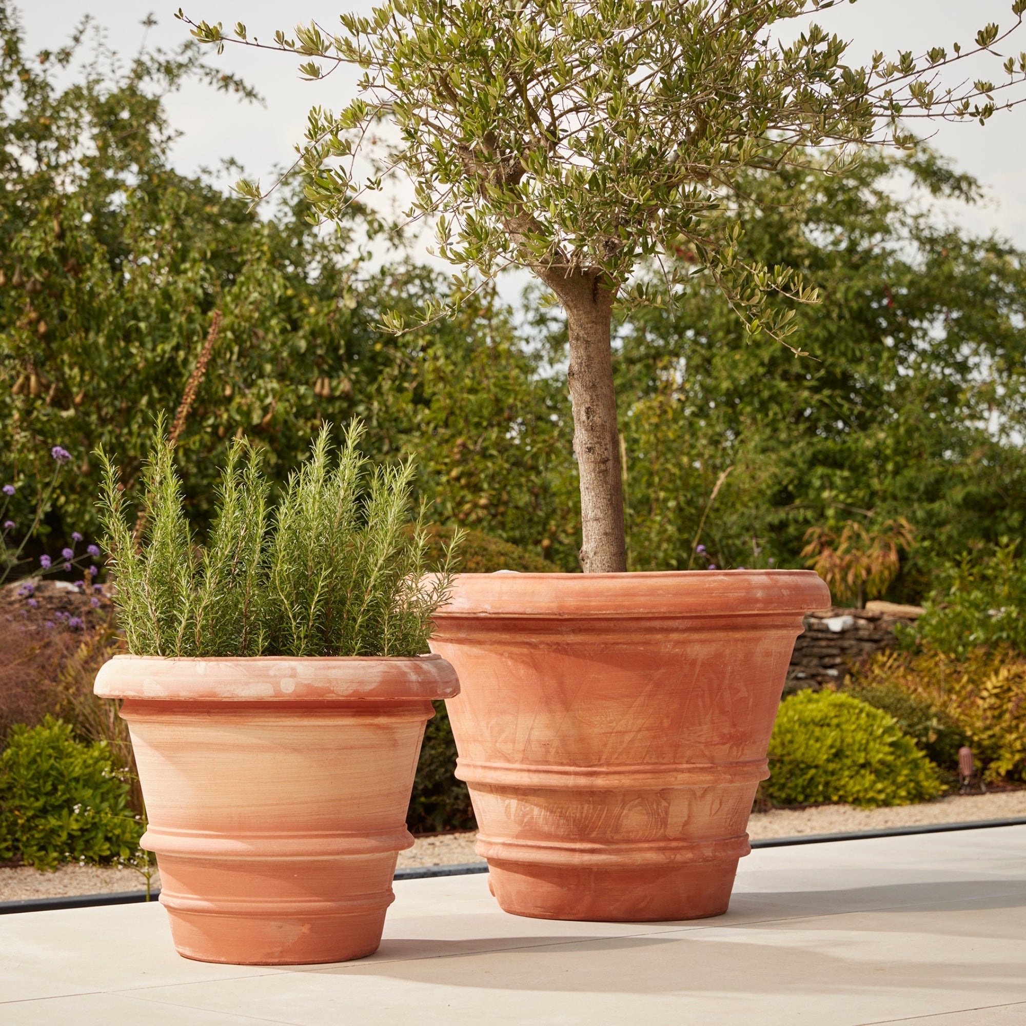 Verona Extra Large | Italian Terracotta Plant Pot