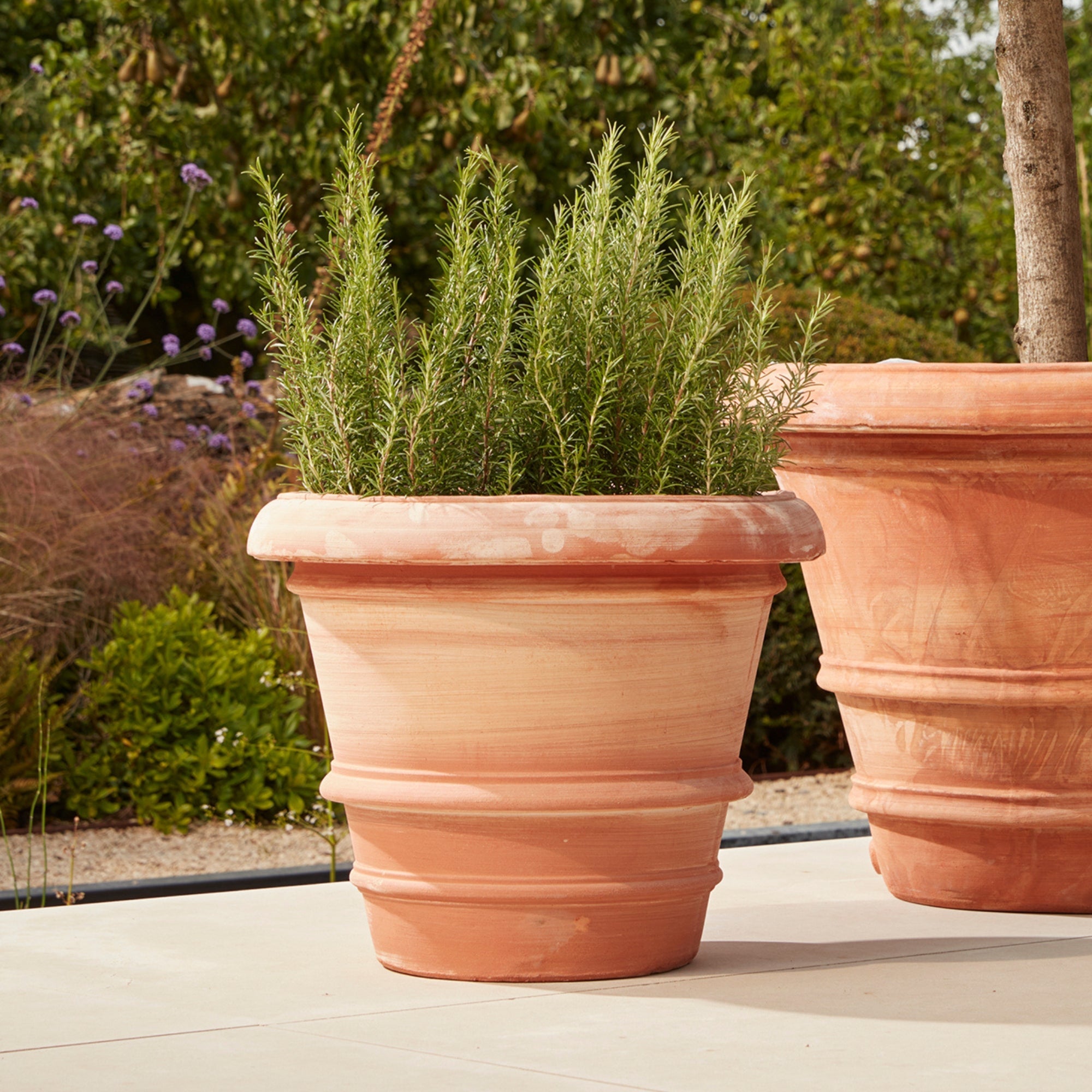 Verona Extra Large | Italian Terracotta Plant Pot