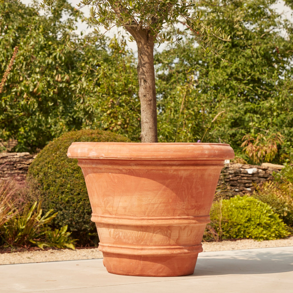 Verona Extra Large | Italian Terracotta Plant Pot