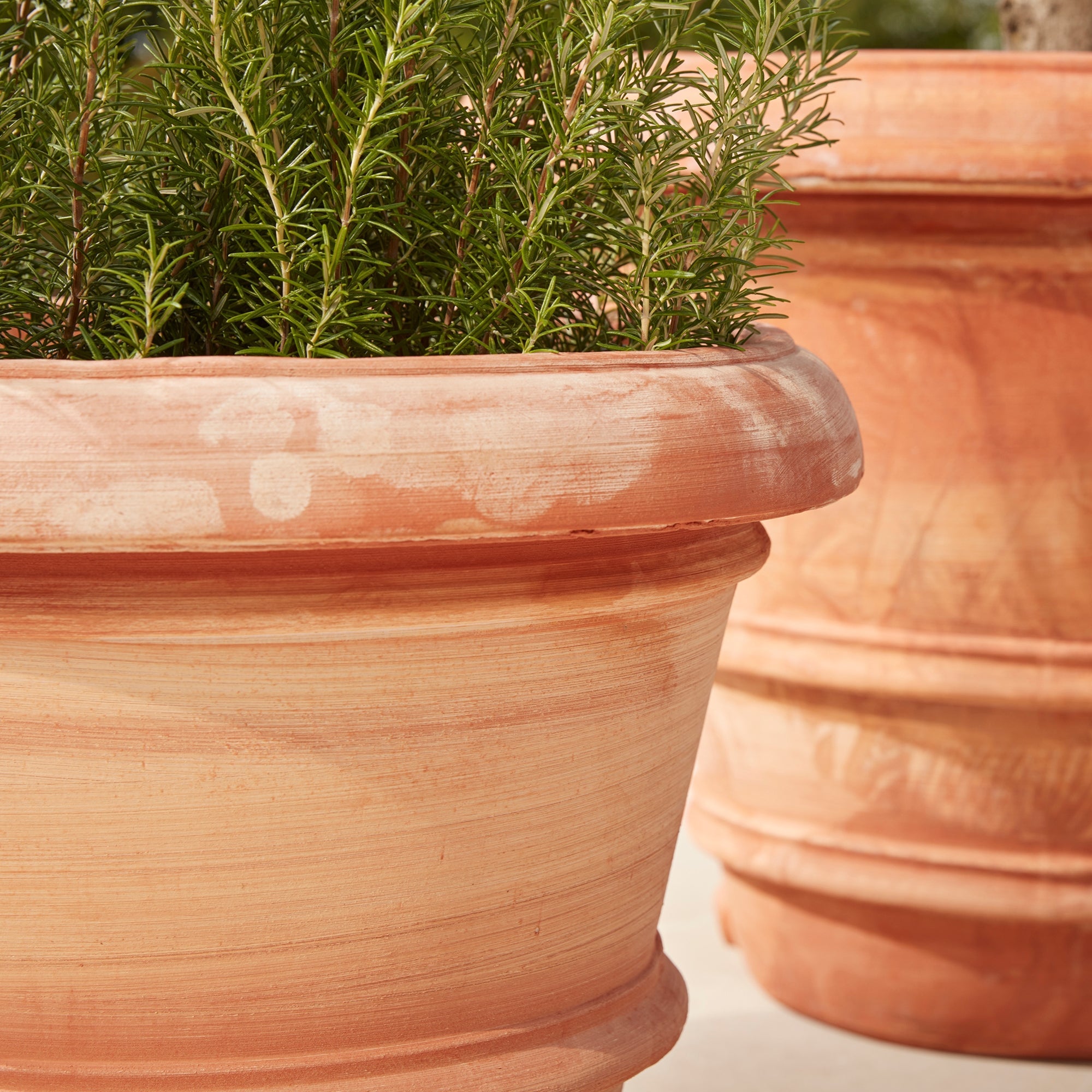Verona Extra Large | Italian Terracotta Plant Pot