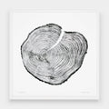 Western Red Cedar Large