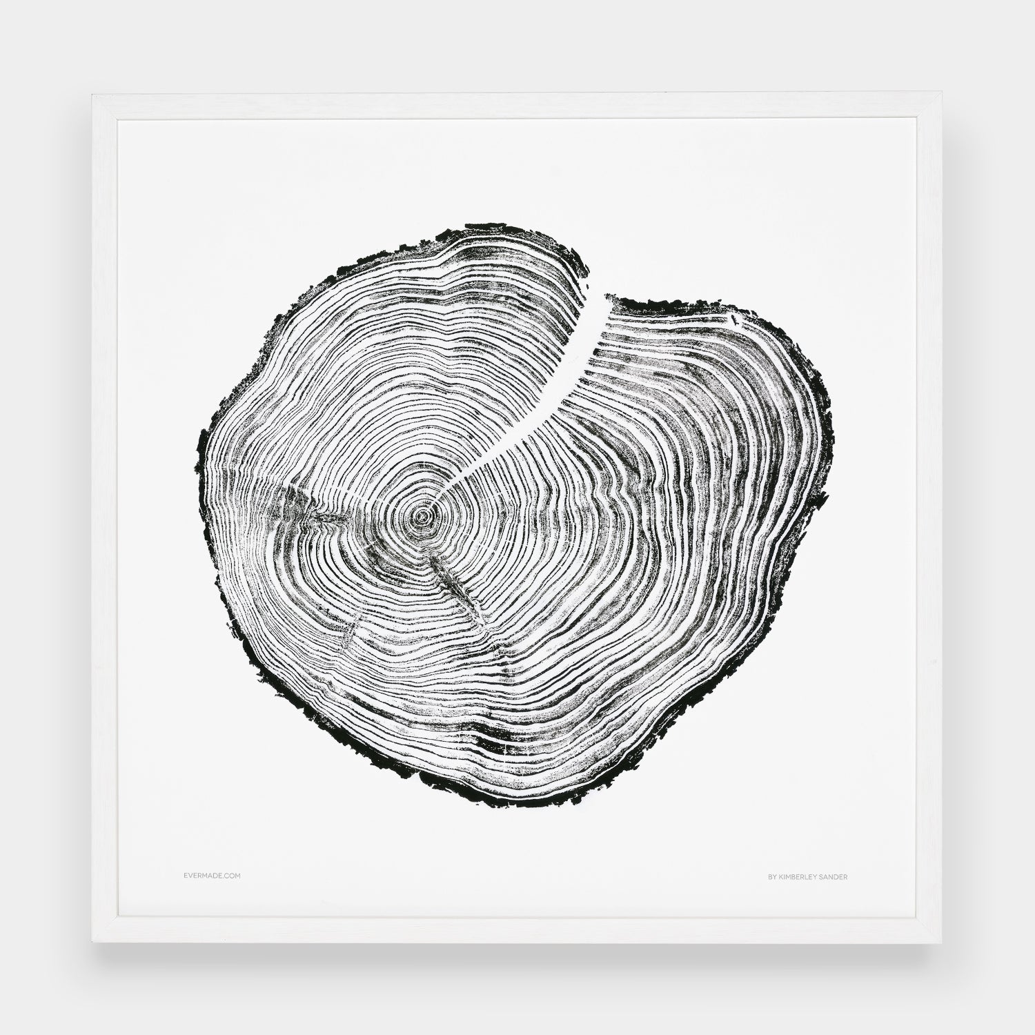 Western Red Cedar Large
