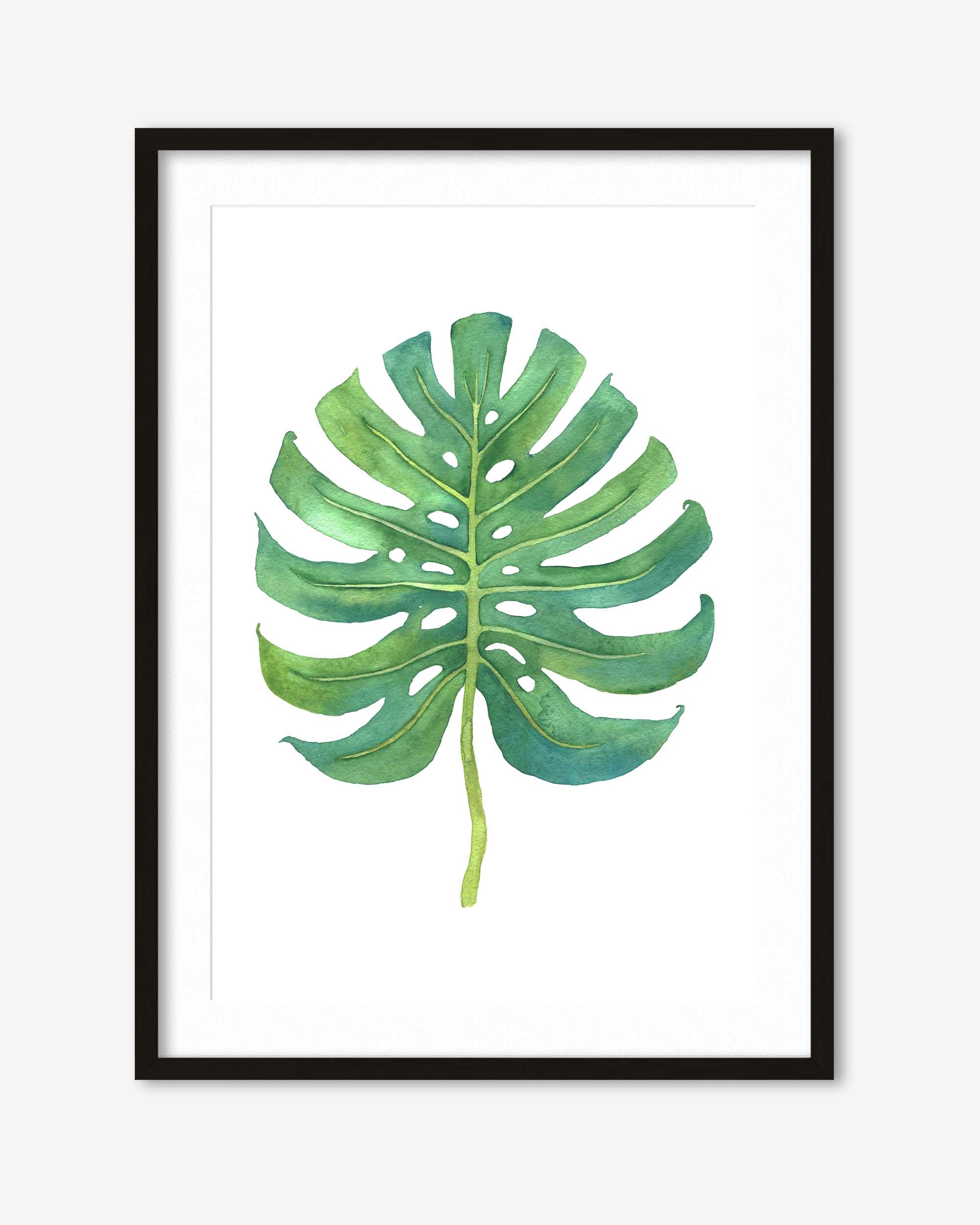 Watercolour Monstera Leaf Art Print