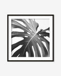 Black And White Monstera Wall Art Print
