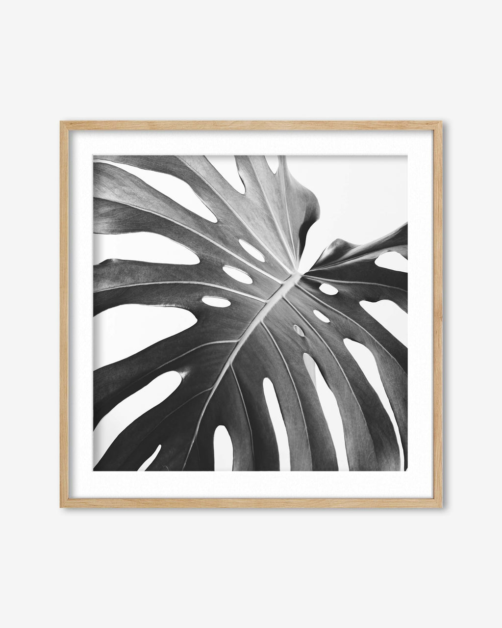 Black And White Monstera Wall Art Print