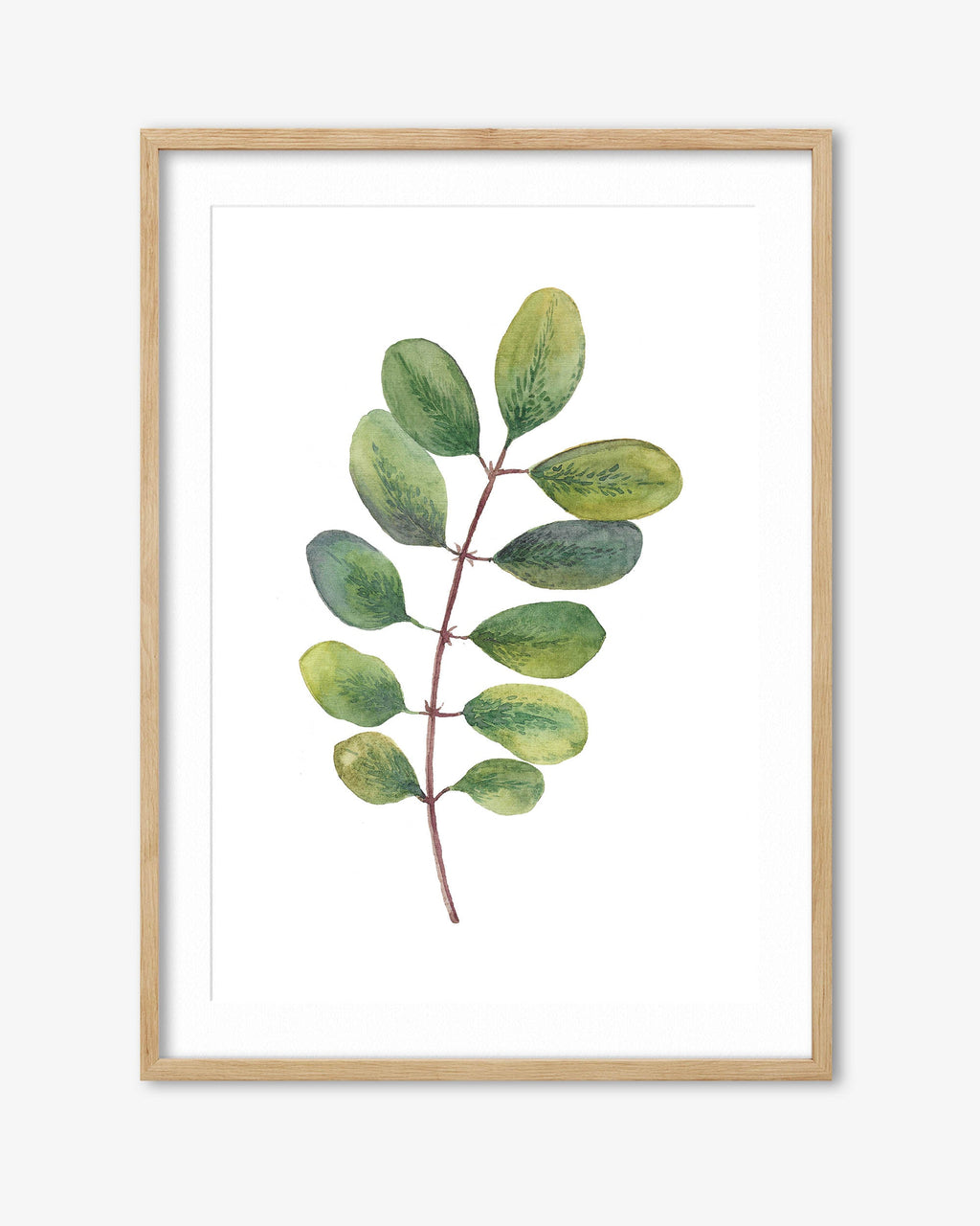 Acacia Watercolour Leaf Art Print