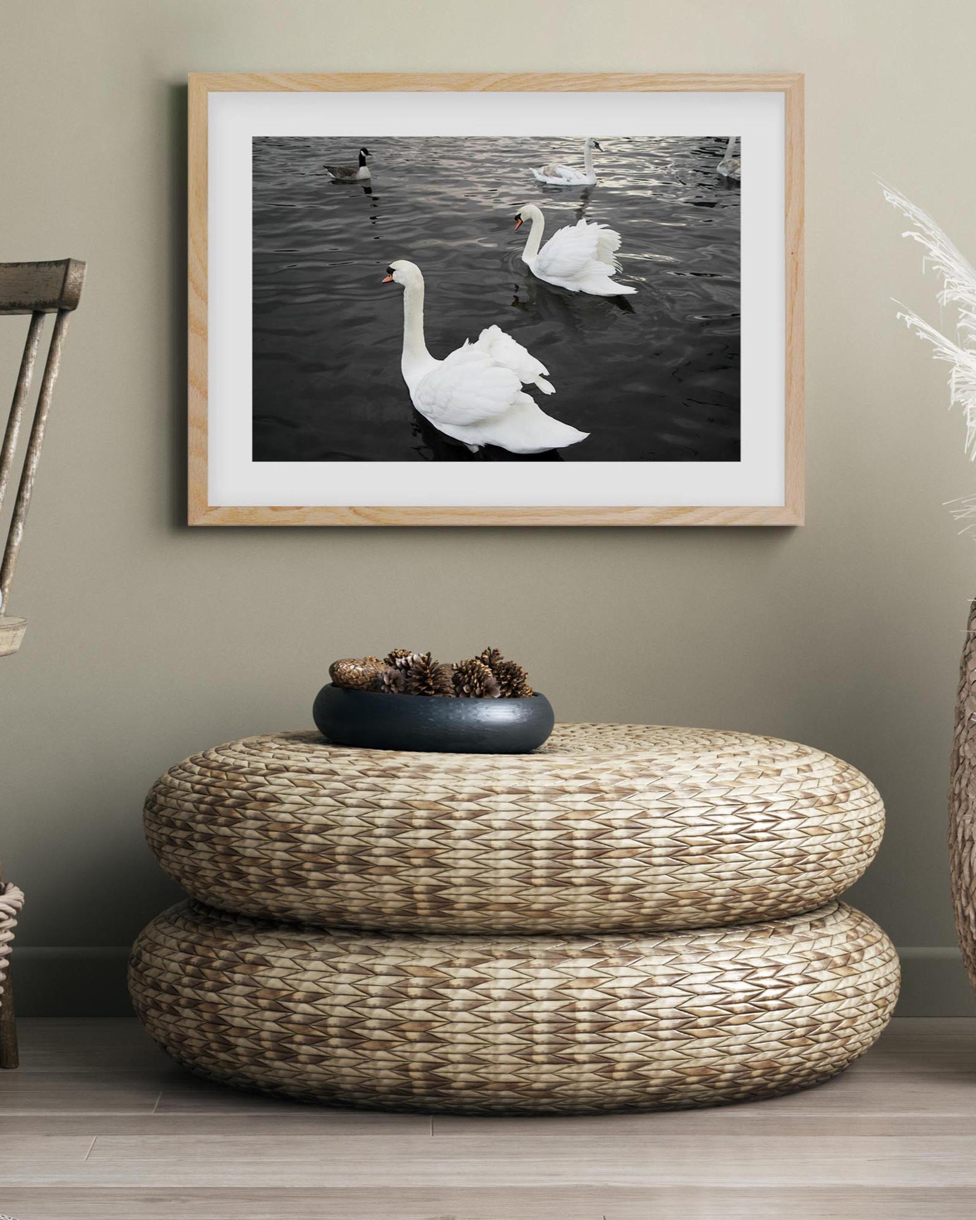 The Swan Lake Art Print