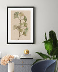 Vintage Botanical Leaf Art Print