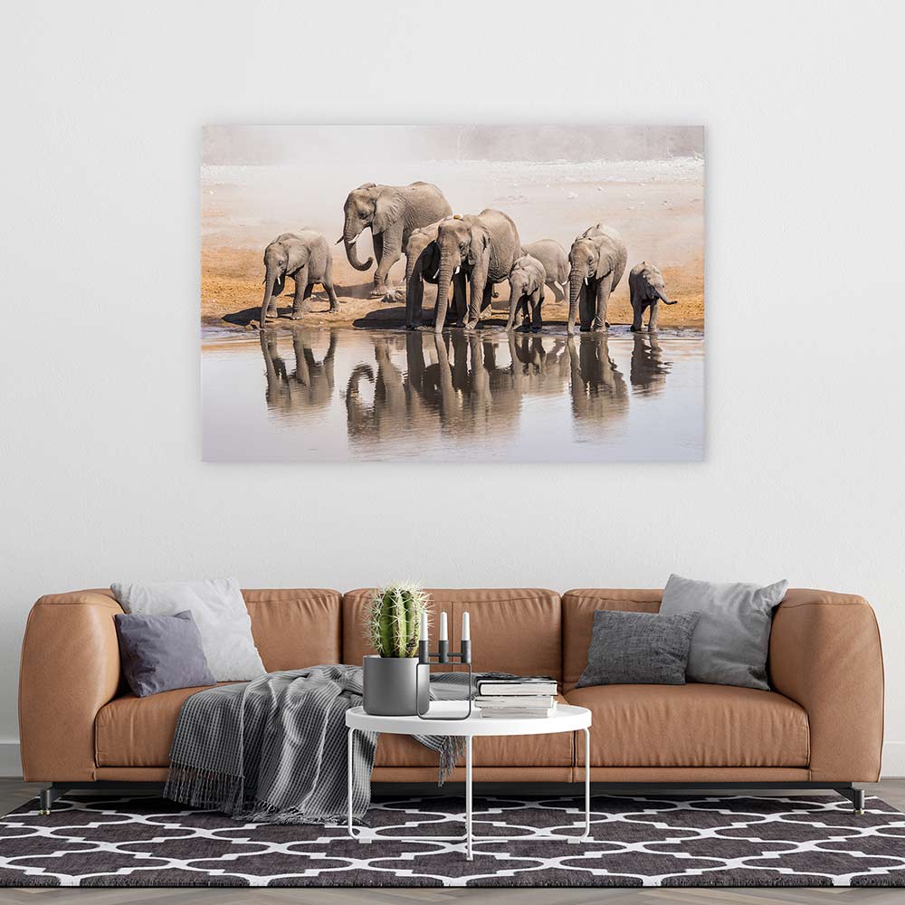 The elephant waterhole