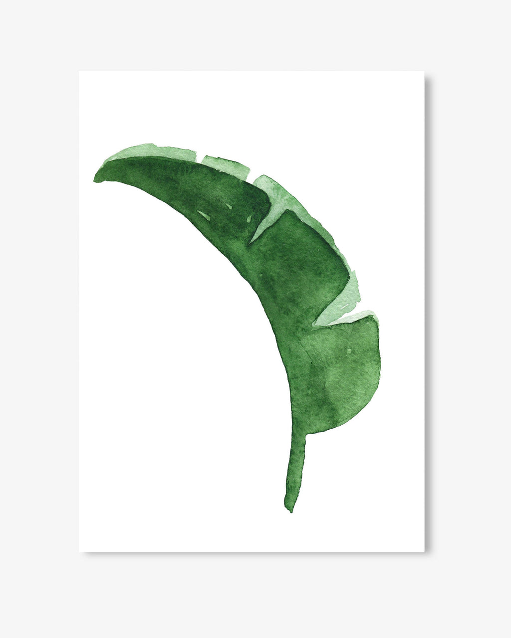 Watercolour Banana Leaf Art Print